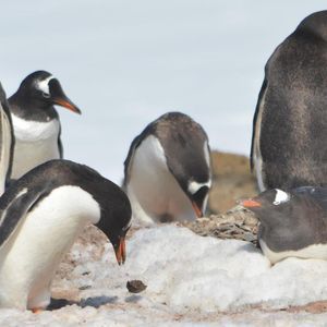 Meet your Posher, Meredith